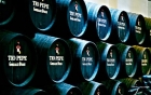 Sherry Tasting in Jerez