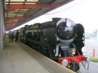 (Orient Express) British Pullman Train
